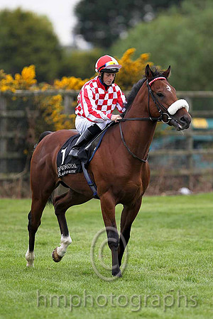 R5 - Big Typhoon 2nd, Jockey B A Curtis - FT8E0503-e