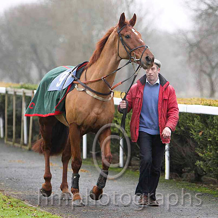 Rocklet - Jockey R Geraghty , 3rd - CU2D1931-e