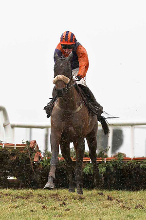 Lord Rory 17th, Jockey A E Lynch - CU2D3242-e