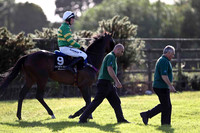 Silent Jo 4th, Jockey A E Lynch - FT8E0984-e