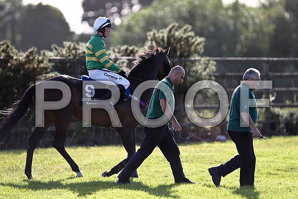 Silent Jo 4th, Jockey A E Lynch - FT8E0984-e