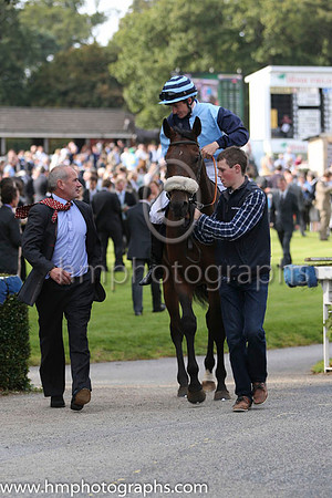 \06 Spacious Sky and S Foley - - 06th (11 ,light blue and dark blue halved ) Trainer - A J Martin
