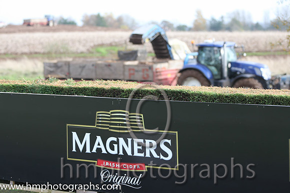 Lifting pototoes at Down Royal