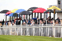 R7 - The Betting Ring - FT8E0595-e