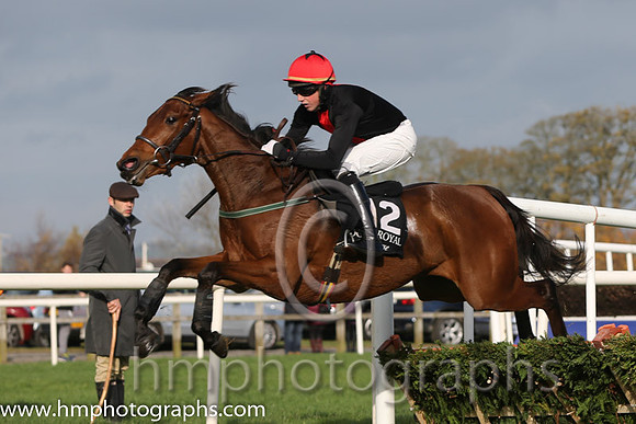 01 Scooping and C D Maxwell - - 01st (12 ,black, red panel ) Trainer - E D Delany
