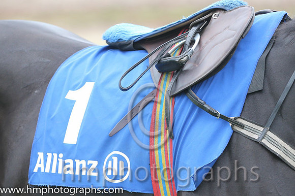 02 Glenquest and A E Lynch - - 02nd (1 ,emerald green, purple star ) Trainer - S R B Crawford