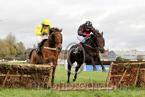 Miley Shah & J L Cullen - 4th (4, yellow, green braces) & One Cool Shabra - 3rd (3, black, red spots) - CU2D4512-e2b