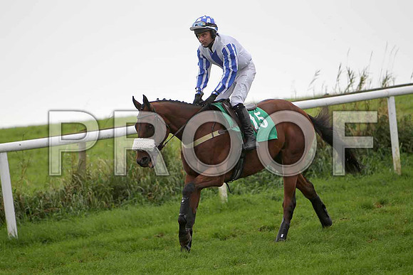 Symphonist , Jockey A P Thornton - PU - CU2D2289-e