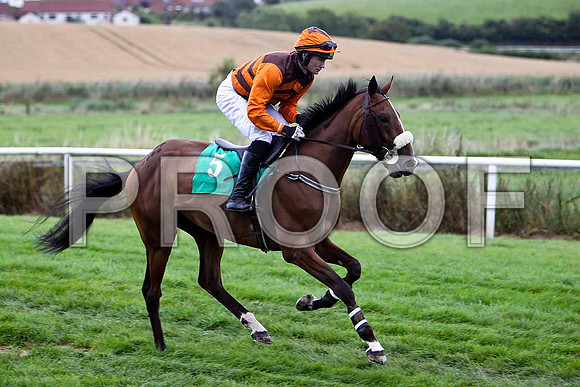 Novarov - 9th , Jockey S G McDermott - FT8E3924-e