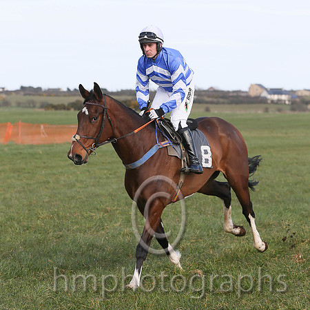 01st OSCAR MOR and B O'Neill ( 8 , ROYAL BLUE,white chevrons; royal blue,white chevrons sleeves; white cap ) Trainer: Colin Bowe,, Owner : Sean Wickham