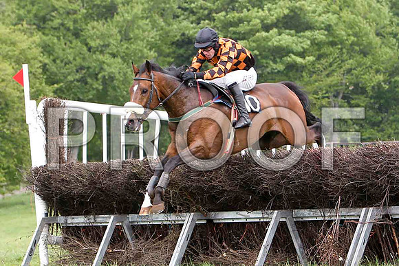 Mister Philson - Winner, Jockey Derek O'Connor - FT8E2536-e