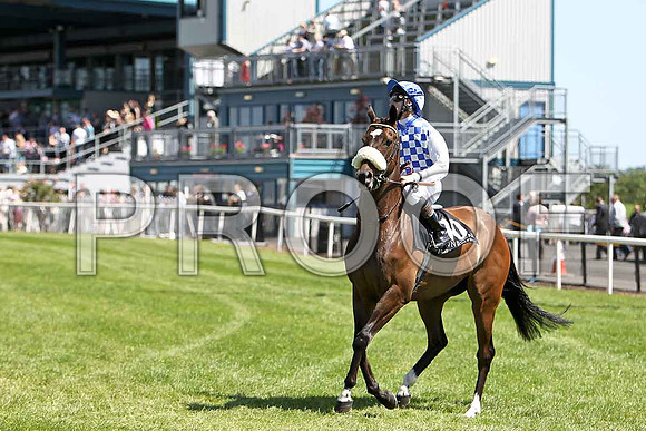 Hello Man 4th, Jockey W J supple - CU2D0192-e
