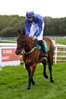Benefit of Porter, 3rd , Jockey Mr N J Redmond - FT8E2904-e