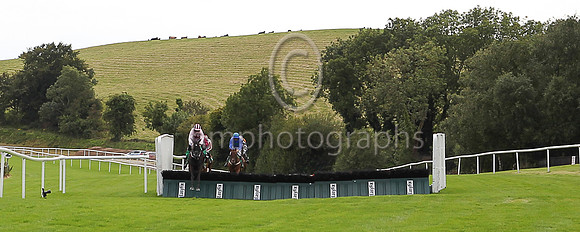 01st Westland Row and D N Russell ( 2 , pink, maroon star ) Trainer - G Elliott , Owner - Mrs Caren Walsh  John F Doyle