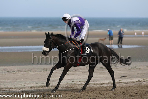 1 Sister Slew and J P O'Brien - - 1st (9 ,purple and white qtrd ) Trainer - Gordon Elliott