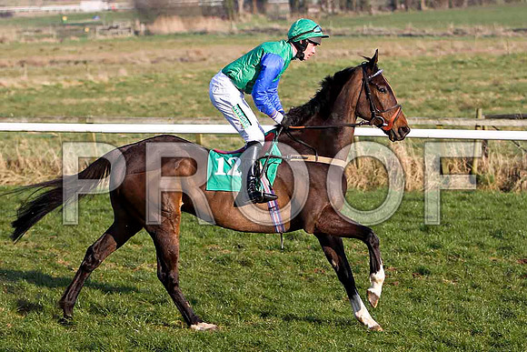 Tenspinhits - 9th, Jockey Mr D O'Connor - FT8E0548-e