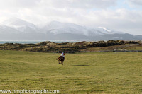 04 Oneforthenure (15) & G Quinn - DQ Trainer : Graham McKeever, Red and white qtrd, blue cap
