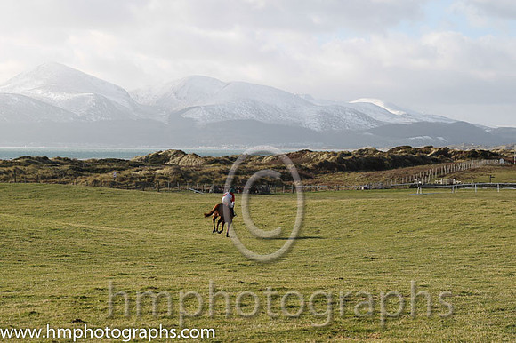 04 Oneforthenure (15) & G Quinn - DQ Trainer : Graham McKeever, Red and white qtrd, blue cap