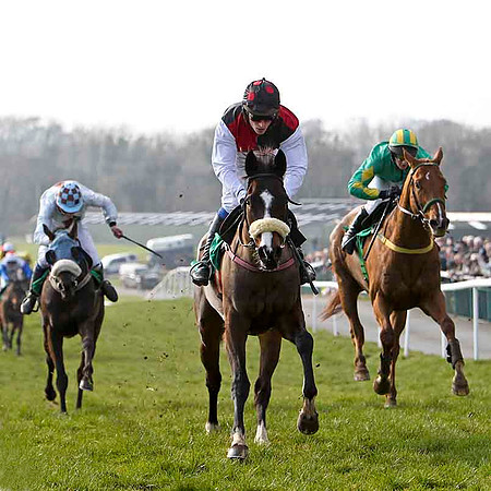 Dizzy Rascal - 2nd, Jockey C V Ring , Garamor Boy (centre) - Winner, Jockey M P Burke & Kid Curry - 2nd - Jockey T C Carroll -Garamor Boy (centre) - Winner, Jockey M P Burke - FT8E0431-e2