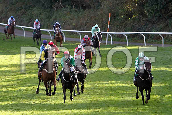 The Rossmeister (Right - Green striped cap) in the lead , Jockey M P Butler - 3rd - CU2D9313-e