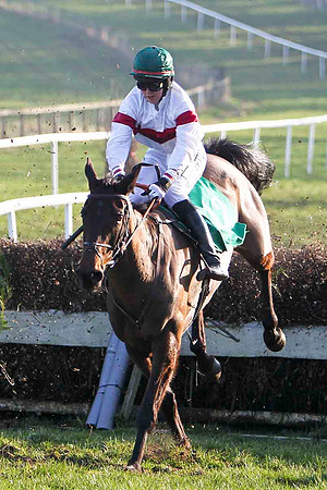 Posh Bird 2nd, Jockey K M Donoghue - FT8E0515-e