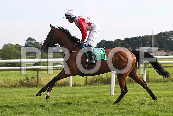 Smokey Joe Joe 2nd, Jockey Mr J E Burns - FT8E3183-e