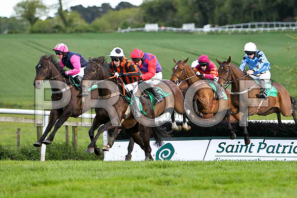 Rosepeg , PU , Jockey S W Jackson lands first - FT8E3035-e2