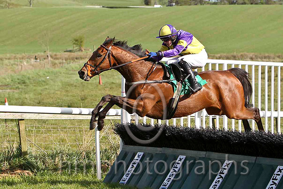 The Amarillo Kid & P Townend - Winner (3, purple and yellow quartered) - FT8E3205-e