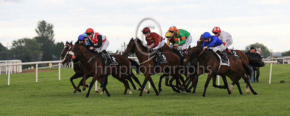 Start of Her Majesty's Plate stakes at Down Royal