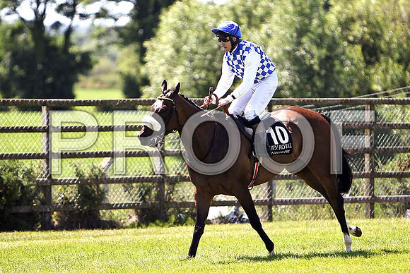 Hello Man 4th, Jockey W J Supple- CU2D0219-e