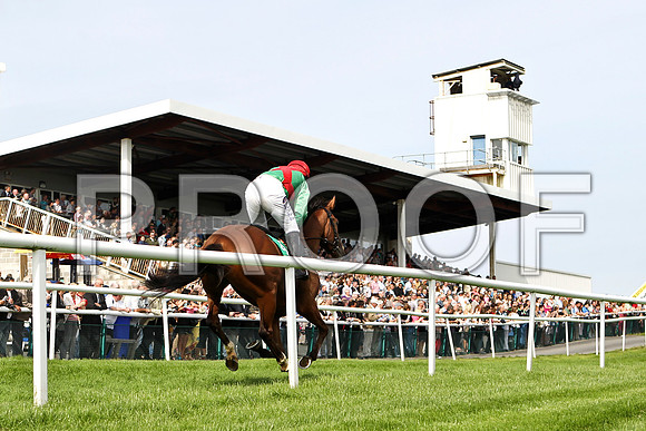 Raheenwood U, JOckey Mr B T O'Connell passing the Stand - FT8E3053-e2