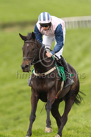 01st MOLLYKING and M J O'Hare ( 11 , PINK; blue sleeves; pink  blue striped cap ) Trainer: J.G. Cosgrave , Owner : Racing Carnglave