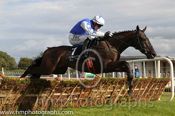 01 Verawal and P Townend - Winner , ( 7 , blue, white stars )FT8E0167