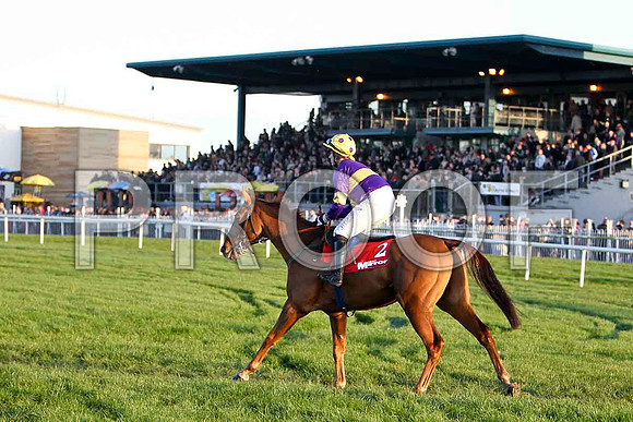 Big Generator - 2nd , Jockey Mr B O'Neill - FT8E7297-e