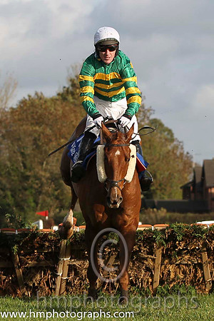 16 Dear Boss & A P McCoy - 16th (10, emerald green and orange hooped) - FT8E9939-62