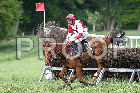 Fourth Race - Uasaka (2) 7th, Rider Derek O'Connor - CU2D9638-e