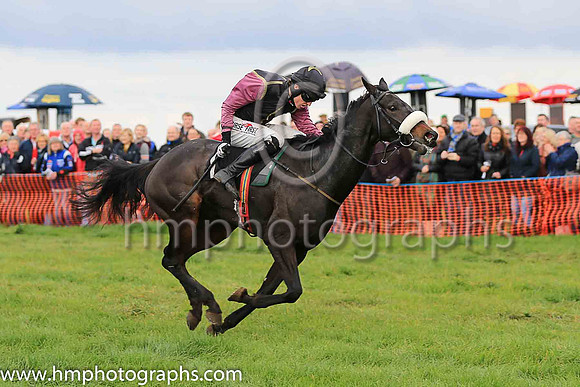 01st HIDE THE BISCUIT and J C Barry ( 1 , BLACK,yellow seams; mauve sleeves; black cap,yellow star ) Trainer: Mervyn Torrens,, Owner : Anne Torrens