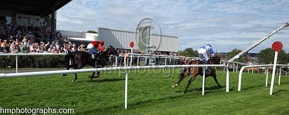 01st Typical Thomas (9 , blue, white diabolo ) Jockey: Peter Smithers7 , Trainer: James Andrew Fahey