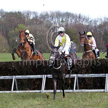 RollInInTheDeep (9 beige and black halves) & J E FLynn - PU-DreamsOfTheTheatre (13) & B O'Neill - winner - FT8E2193-e2