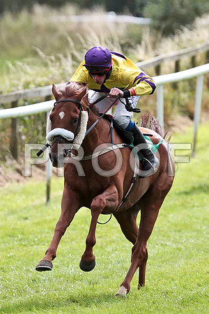 Swift Accordian - 8th, Jockey A P Cawley   -CU2D9446-e