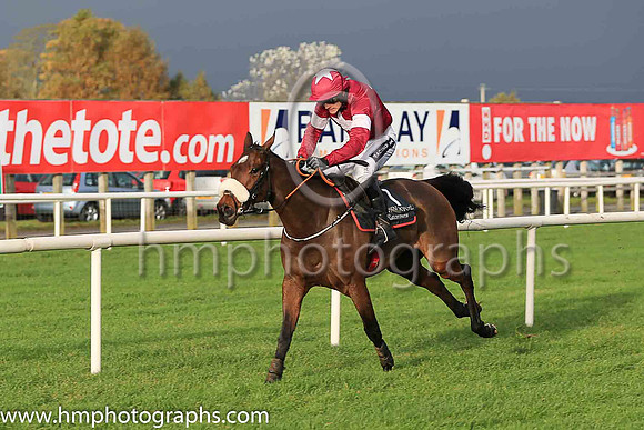 01st Wolfslair and D J Mullins ( 5 , naroon, white star, maroon cap ) Trainer - G Elliott , Owner - Gigginstown House Stud