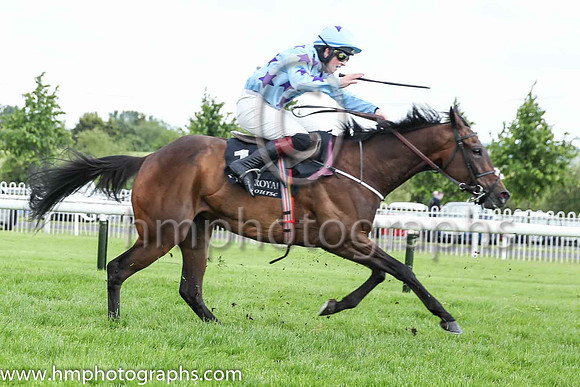 02nd Anna Bunina (FR) and M.M. McDonagh(7) (1 ,light blue, dark blue stars ), Trainer:John C. McConnell , Owner:Ms. Caroline Ahearn
