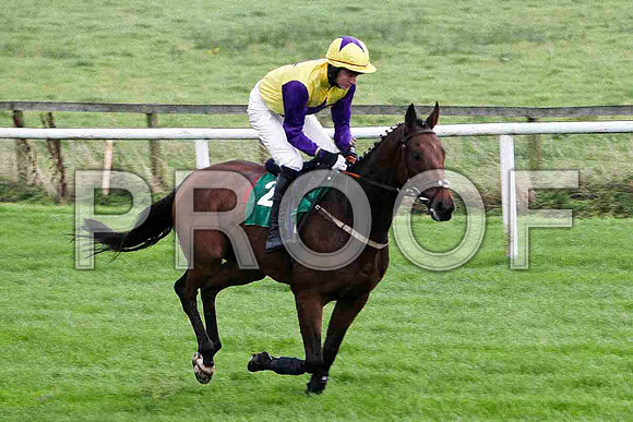 Open Up Your Heart , 3rd - Jockey Mr D G Lavery -  FT8E5183-e