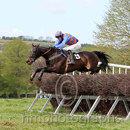 Rock On Tom , 2nd , Jockey - Derek O'Connor  - FT8E2094-e
