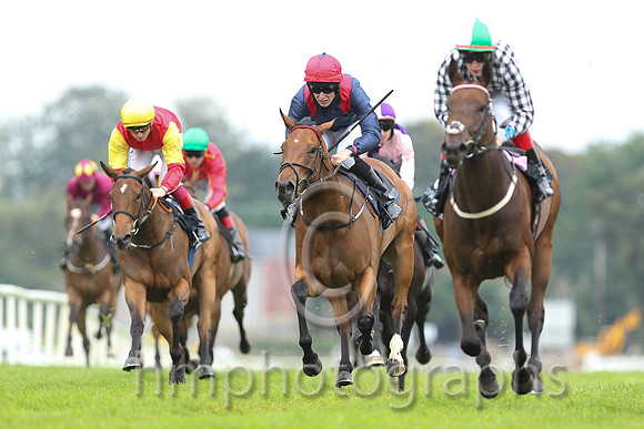 01st Go Kart ( 3 , black  white checks ) and R.P. Downey (5) - Trainer : P.J.Prendergast - Owner : J.P.M.O'Connor