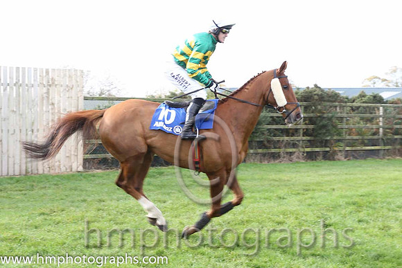 16 Dear Boss & A P McCoy - 16th (10, emerald green and orange hooped) - CU2D8914-23