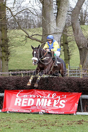 Third Race -Rosa Lord 4th Div 11 - CU2D7115-2e