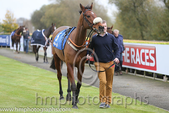 06 Bearly Legal and Mr J C Barry - - 06th (5 ,purple, white star ) Trainer - Karl Thornton