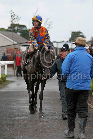 Mister Nibbles & Mr S Crawford - winner (21, orange, toyal blue star) - FT8E5500-e2