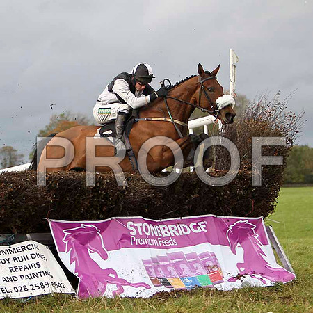 Balnaslow, Winner , Jockey Derek O'Connor - FT8E5741-e2